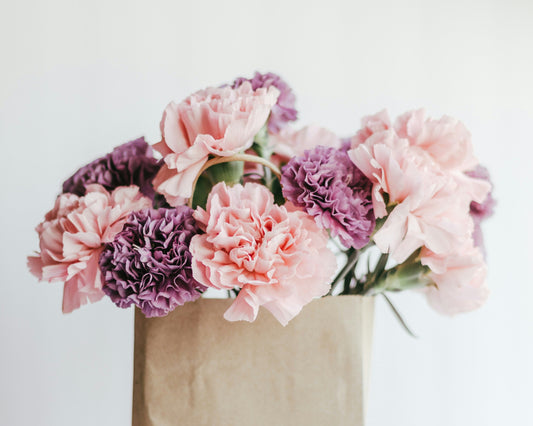 In Defense of Carnations